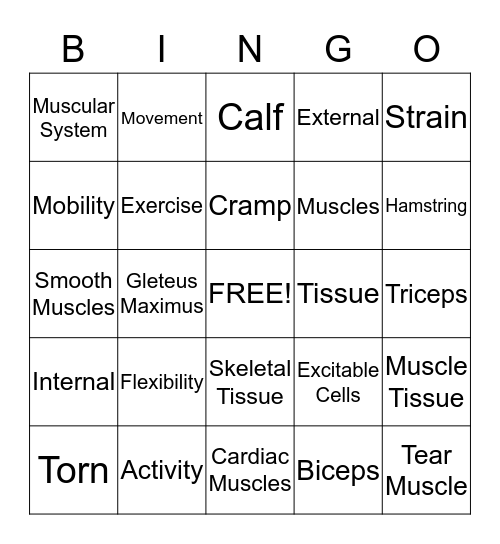Muscular System Bingo Card