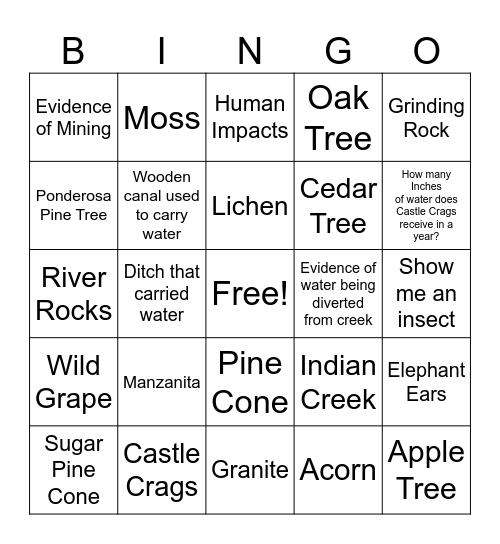 Castle Crags Indian Trail - Fall Bingo Card