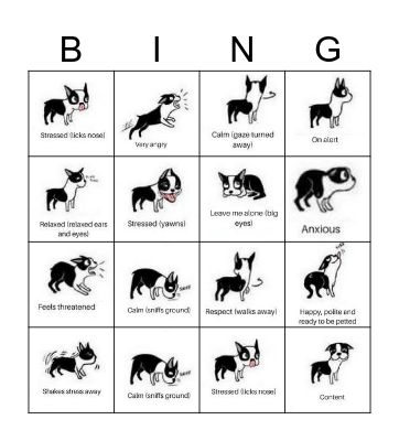 DOG BODY LANGUAGE/CALMING SIGNALS Bingo Card
