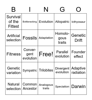 Evolution Bingo Card
