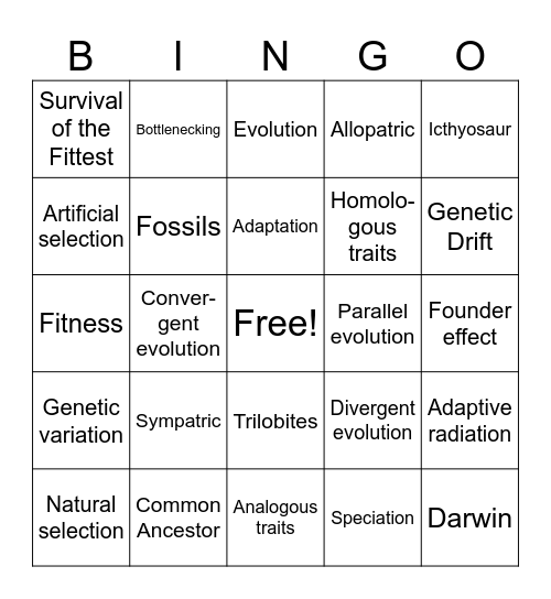 Evolution Bingo Card