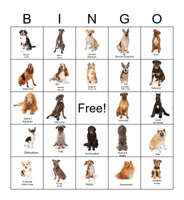 Dog Breed Bingo Card