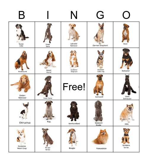 Dog Breed Bingo Card