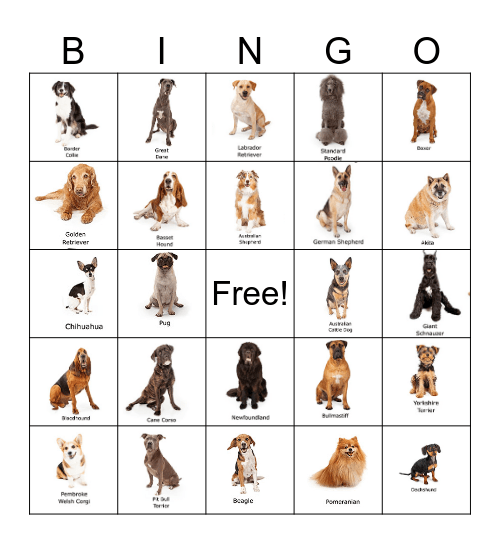 Dog Breed Bingo Card