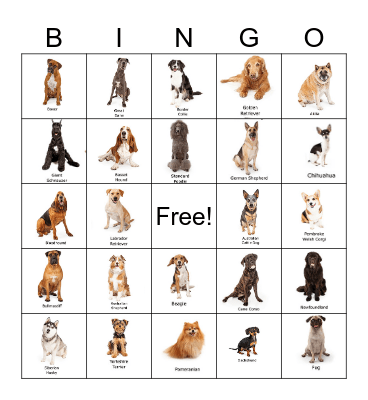Dog Breed Bingo Card