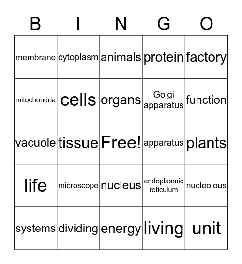 Cells Bingo Card