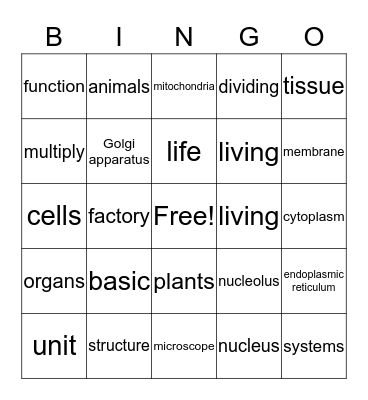 * Cells * Bingo Card