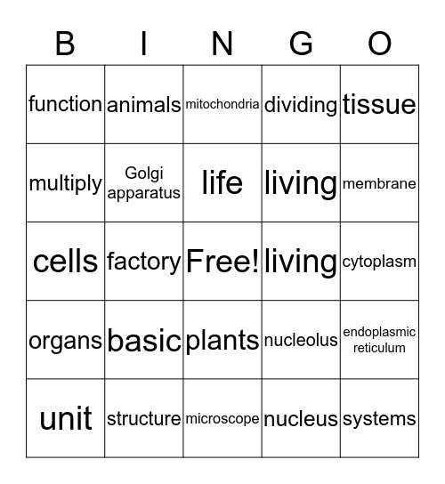 * Cells * Bingo Card