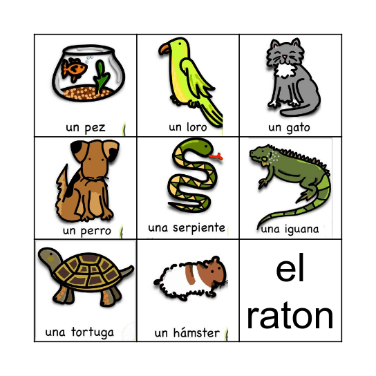 Mascotas Bingo Card