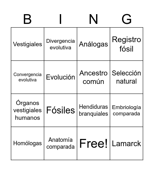 Bingo de la Evolución Bingo Card