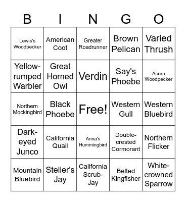 Wild West Bird Bingo Card