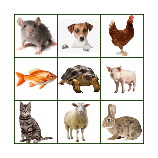 Animal bingo Card
