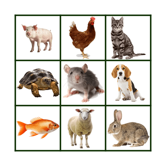 ANIMAL BINGO Card
