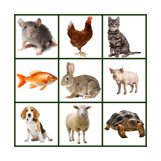 ANIMAL BINGO Card