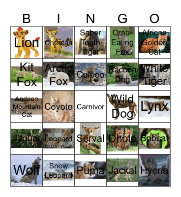 Wild Cats & Dogs Bingo Card