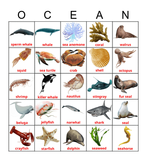 SEA ANIMALS Bingo Card
