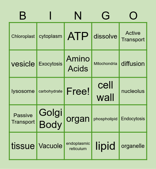 C           E            L            L Bingo Card