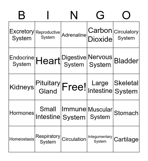 BODY SYSTEMS Bingo Card