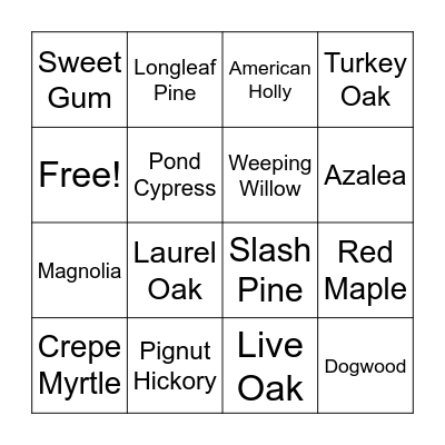 Trees of Northeast Florida Bingo Card