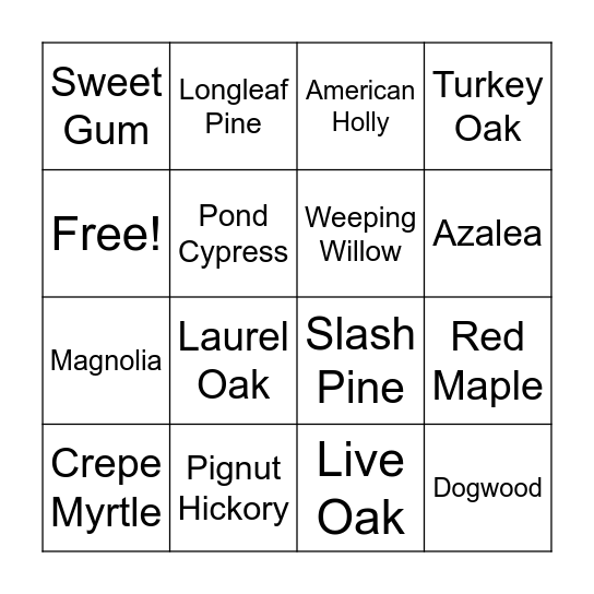 Trees of Northeast Florida Bingo Card
