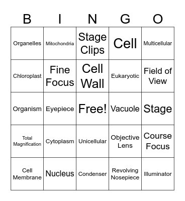 Year 8 Biology Bingo Card
