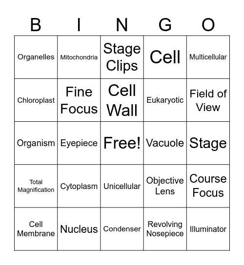Year 8 Biology Bingo Card