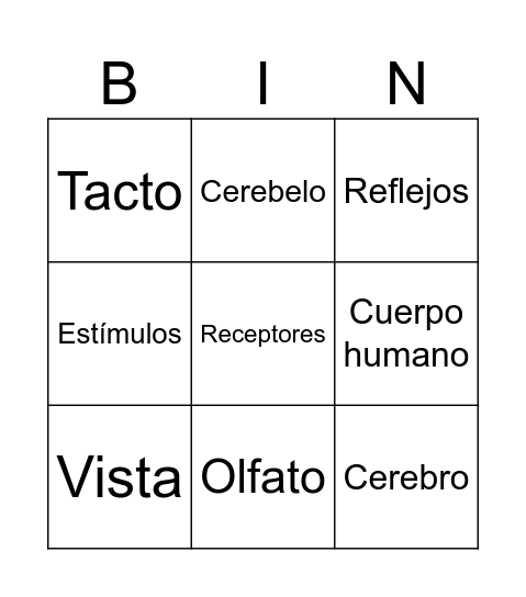 Sistema Nervioso Bingo Card