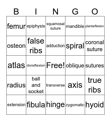 Skeletal System Bingo Card