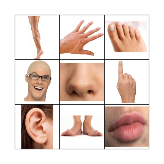 BODY PARTS Bingo Card