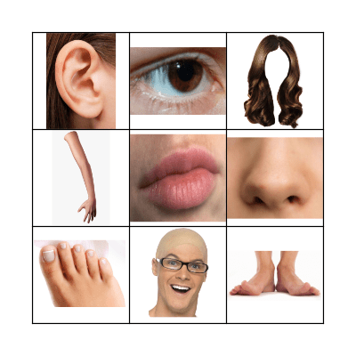 BODY PARTS Bingo Card