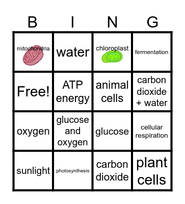 Cellular Energy Bingo Card