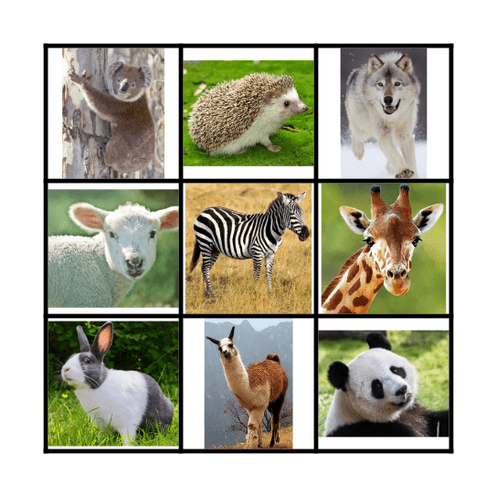 ANIMAUX Bingo Card