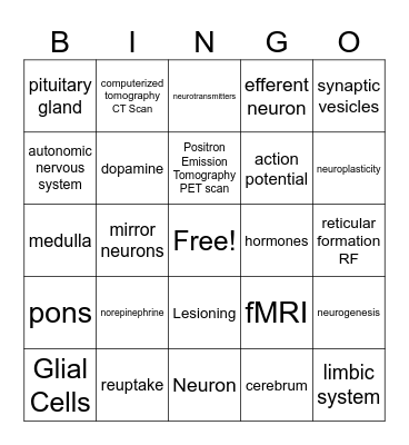 CHS Chapter 2 Bingo Card