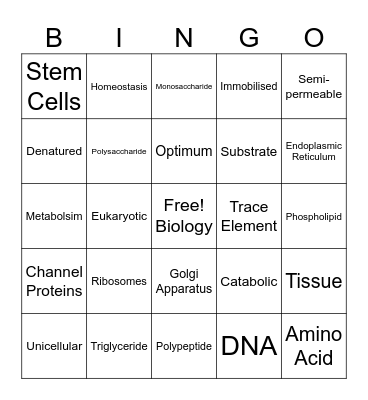 Key Words Bingo Card