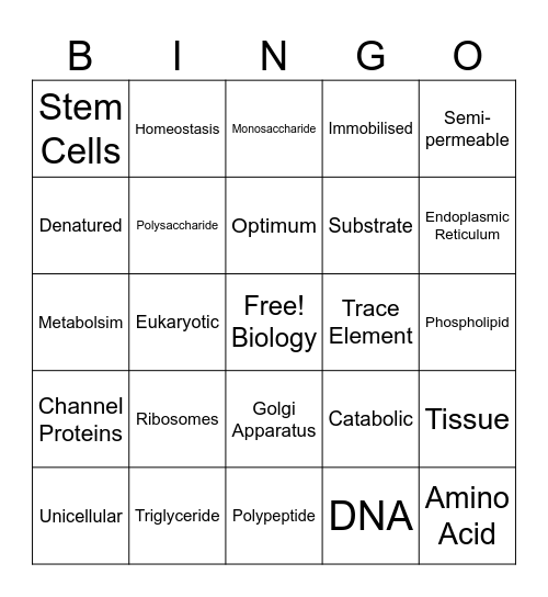 Key Words Bingo Card
