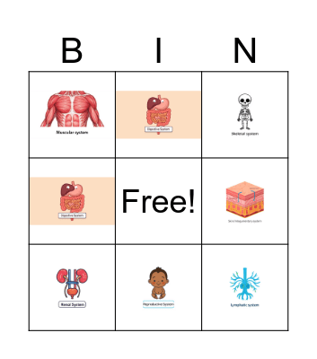 Body Systems Bingo Card