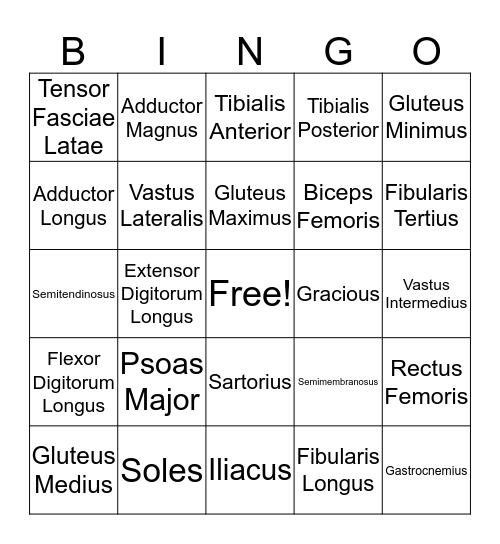 Linebach Musco #3 Bingo Card