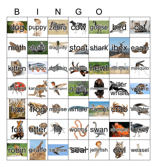 Animals Bingo Card
