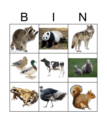 ANIMALS Bingo Card