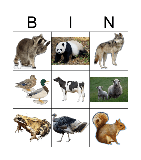 ANIMALS Bingo Card