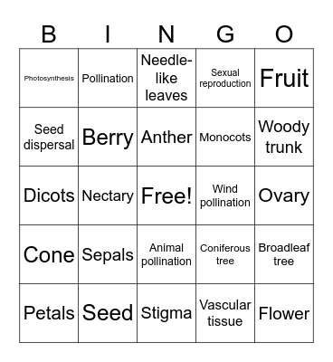 Week 9-11 BINGO Card