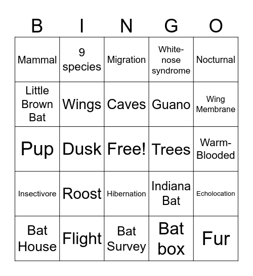 BAT BINGO Card