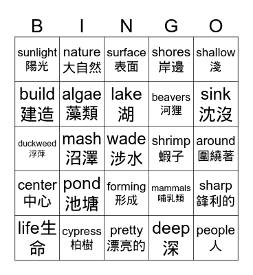 Life in a Pond Bingo Card