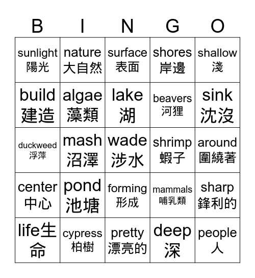 Life in a Pond Bingo Card
