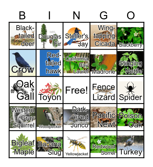 Hike & Seek Bingo Card