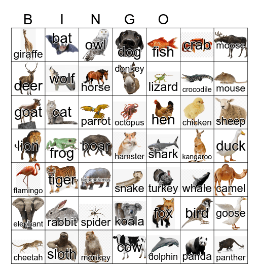 Animals Bingo Card