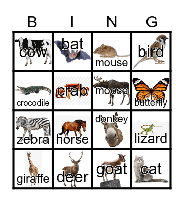 Animals Bingo Card