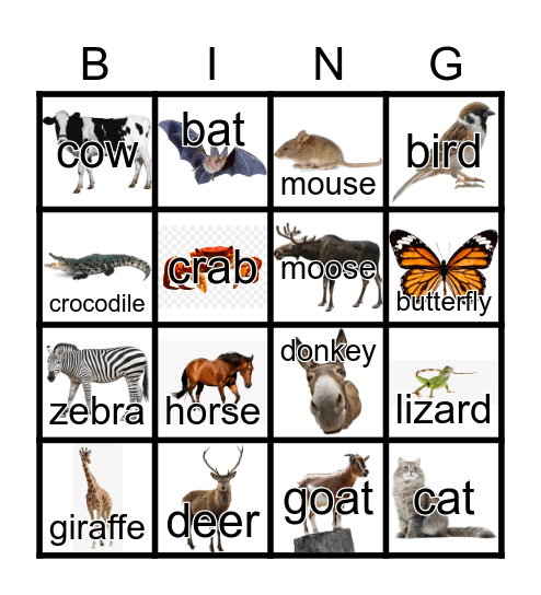 Animals Bingo Card