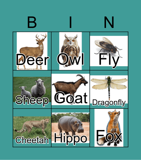 Animals Bingo Card