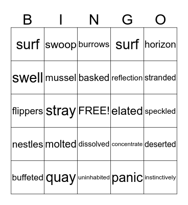 Seal Surfer Vocabulary Bingo Card